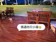 -宴悦海鲜餐厅·游水海鲜·牛排(亚龙湾瑞吉店)