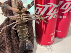 -虾胡闹龙虾馆(湄南河店)