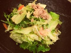 -左舞日本料理