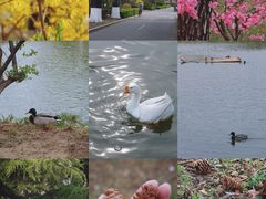 -中国农业博物馆
