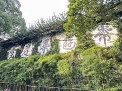 -普陀山雷迪森庄园