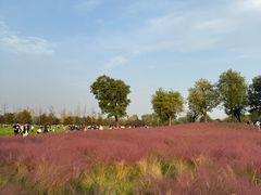 -汉长安城未央宫国家考古遗址公园