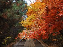 -云峰山自然风景区
