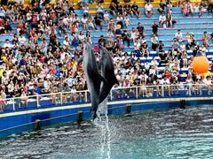 -秦皇岛乐岛海洋王国