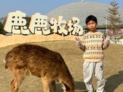 -盈香心动乐园