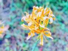-白塘生态植物园