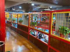 -大孩龙虾(体育场旗舰店)