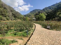 -广州市石门国家森林公园
