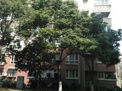 -君莲新城中城苑