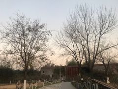 -武汉园博园(武汉自然博物馆)
