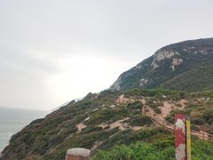 -杨梅坑