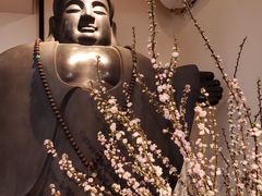 -云来集茶舍(国子监街店)