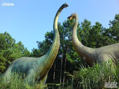 -森波拉火山温泉