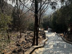 -红螺寺