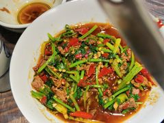 香菜炒牛肉-壹盏灯(蚂蚁工房店)