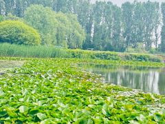 -沈阳植物园