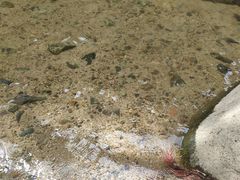 -碓臼峪自然风景区