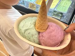 -极拉图·现制冰淇淋(大卫城店)