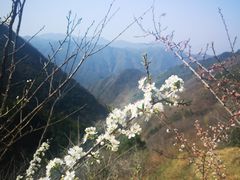 -王顺山国家森林公园