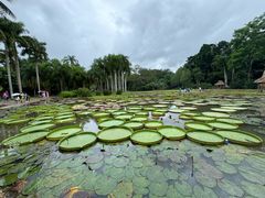 -中国科学院西双版纳热带植物园