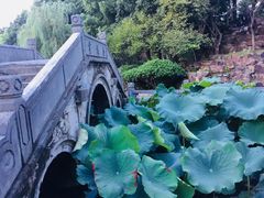 -丝绸小镇荻港古村