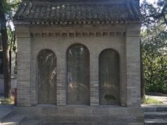 -关林