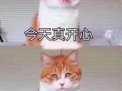 -王家渡火锅店(亦庄店)
