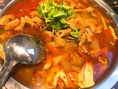 -古乐牛香·鲜牛肉牛杂火锅(解放东路店)