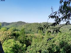 -大屏嶂森林公园