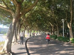-风云岭森林公园