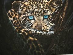 -罗红摄影艺术馆