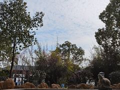 -山湖温泉