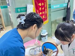 -瑞派动物医院·猫专科·至诚(江南中分院)
