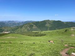 -灵山