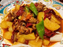 -巴依老爷新疆美食(常营店)