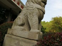 -华东政法大学(松江校区)