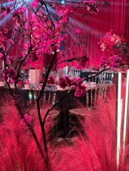 -美薇亭婚礼顾问