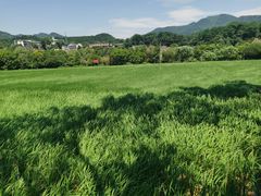 -韶山毛泽东同志故居