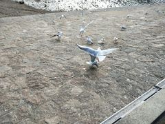 -青岛东方影都融创水世界