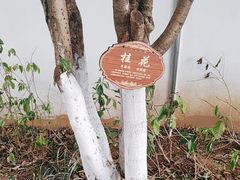 -南京民俗博物馆(甘熙故居)