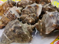 海螺-清真老马家海鲜大排档(台东店)