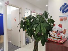 -启德考培雅思托福留学(香洲校区)