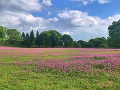 -福建鲤鱼洲酒店