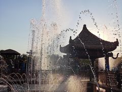 -呀路古热带植物园