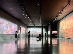 -罗红摄影艺术馆