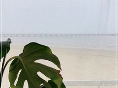 -ChanDu躔度咖啡(灯塔店)