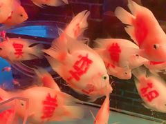 -多彩贵州城极地海洋世界