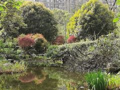-新湖明珠城