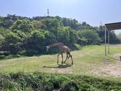 -宁波野生动物园