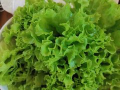 -子睦小庖丁鲜牛屋(财富中心店)